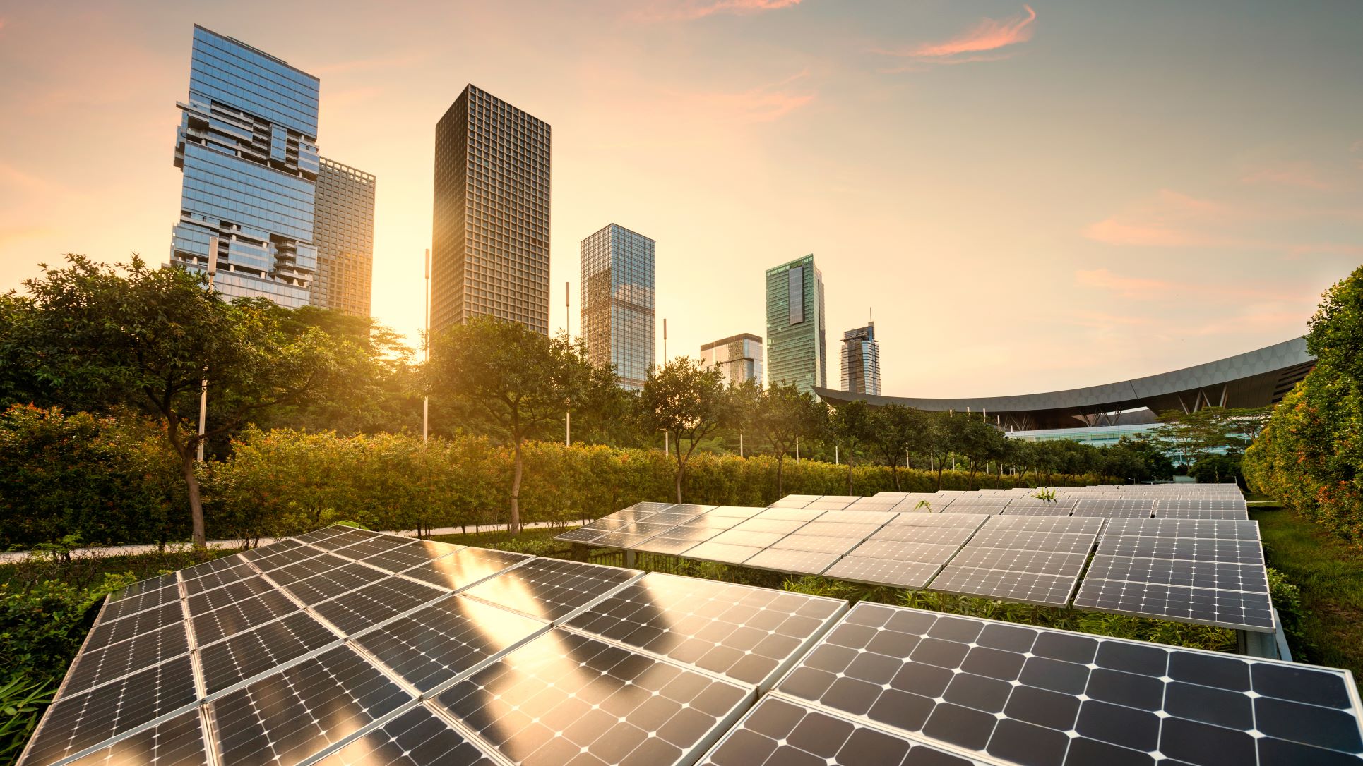 Solar panel office